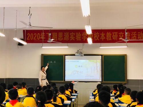 体育教师享同等待遇,绝对策略计划研究_社交版40.12.0