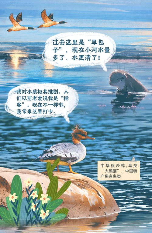 长江发现一死亡江豚