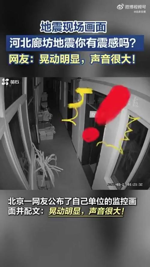 2025年3月 第36页