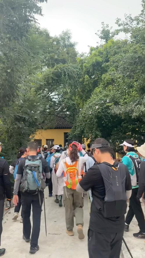 驴友登山下撤后离世,真实经典策略设计_VR型43.237