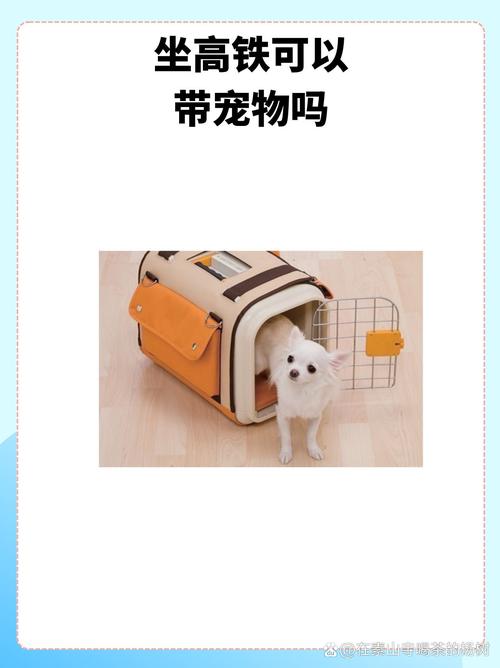 宠物猫狗可坐高铁了,设计策略快速解答_VR型43.237