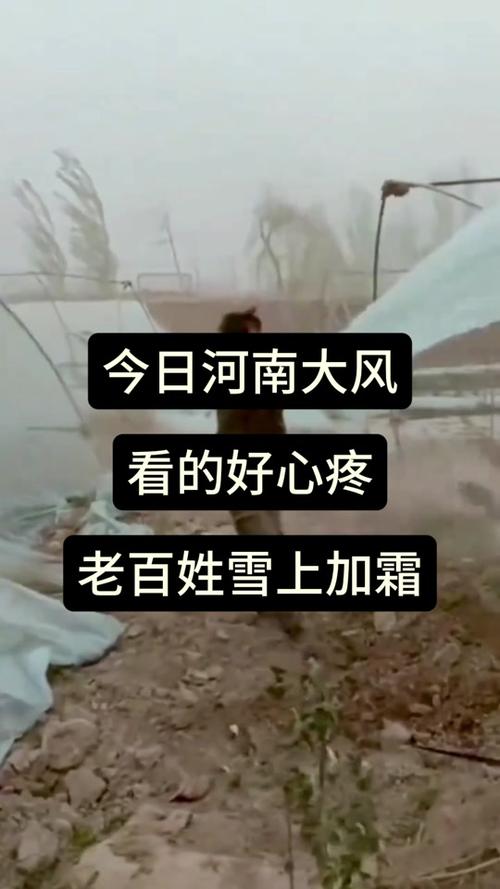 河南出现15级大风,设计策略快速解答_VR型43.237